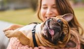 As in the case of medical cannabis for humans, there are numerous anecdotal reports on the benefits of CBD for pets, but there has been little research done to support these claims and pet advocates are calling for increasing the body of evidence.