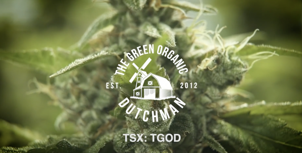 The Green Organic Dutchman is a Mississauga-based company cultivating organic-certified cannabis.